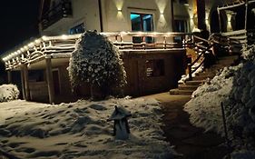 Vis Pension